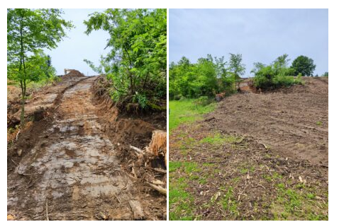 grobere Umbau Arbeiten